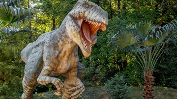 El Tiranosaurio Rex