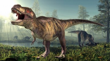 Tyrannosaurus-Rex 