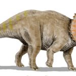diez-datos-curiosos-sobre-el-triceratops